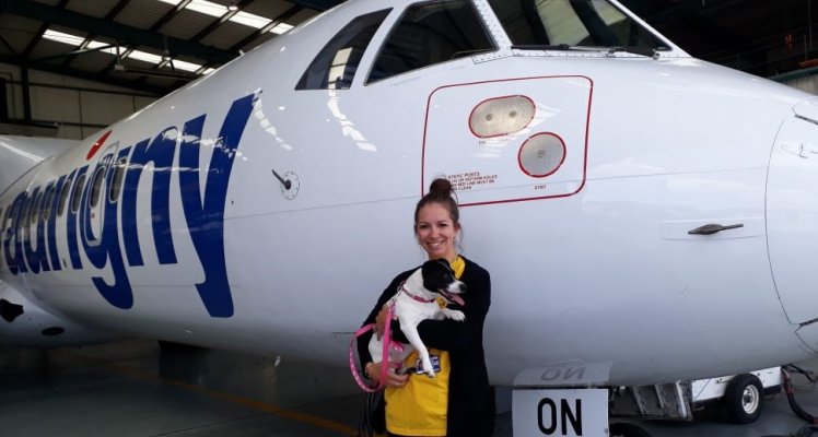 Aurigny staff member and her dog Peppa in front of an Aurigny plane