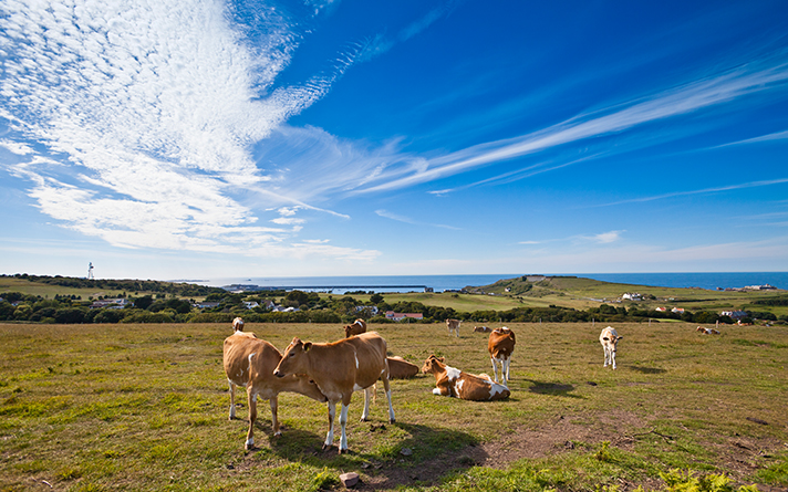 Alderney