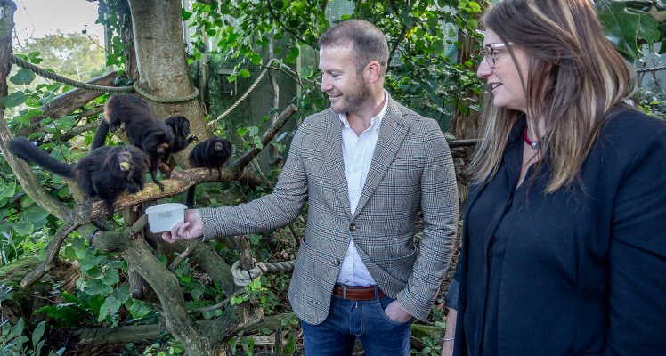 Blue Islands goes Carbon Neutral a partnership with Durrell’s Rewild Carbon programme 