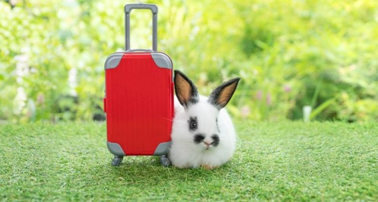 Guernsey Airport anticipates busy Easter weekend