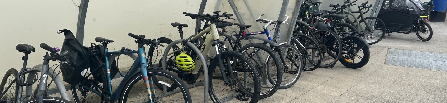 By Bicycle